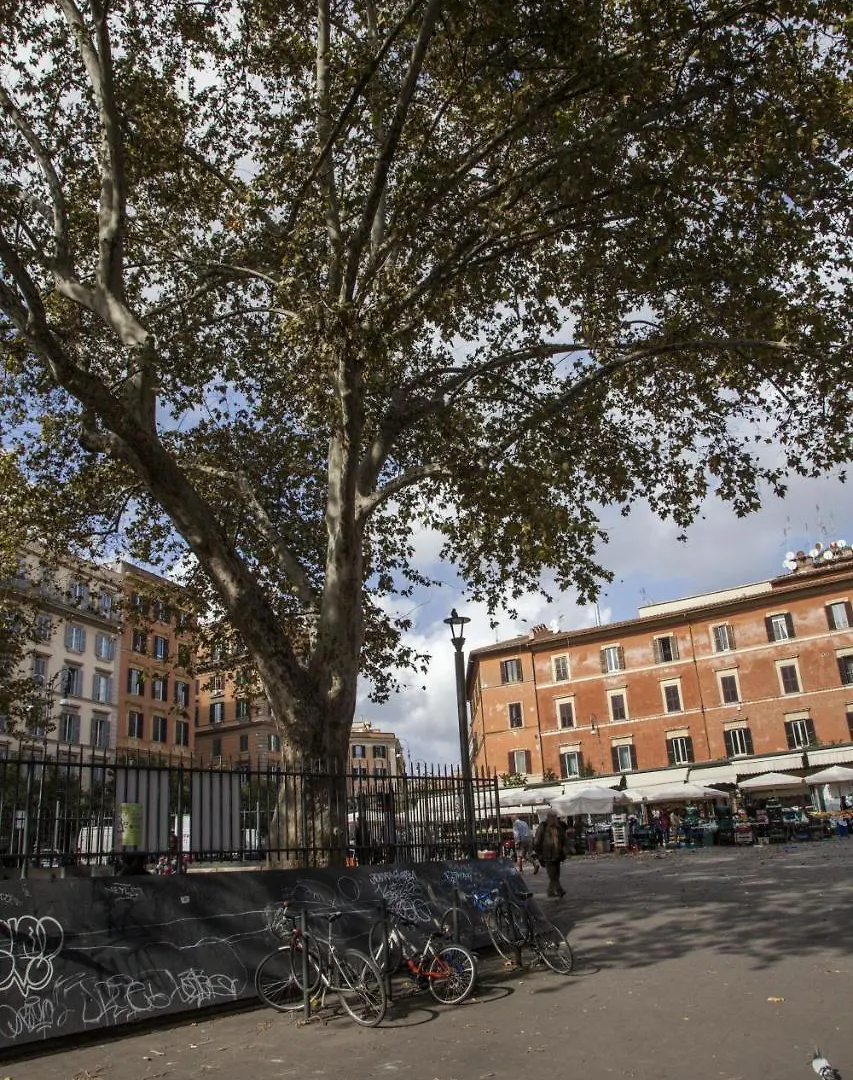 Trasteverome45 Italy